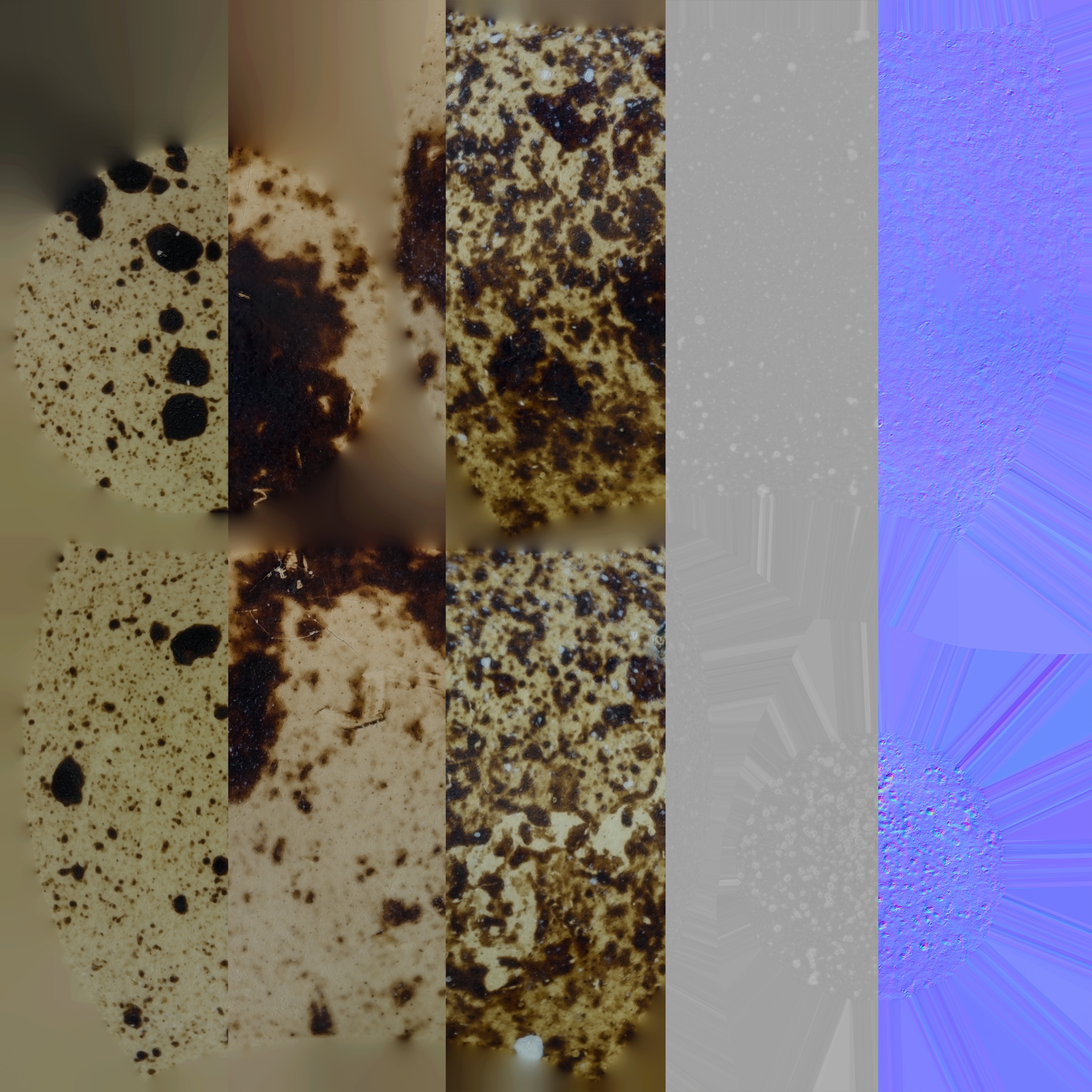 Three Quail Eggs - Photorealistic Scan Low-poly 3D model_16