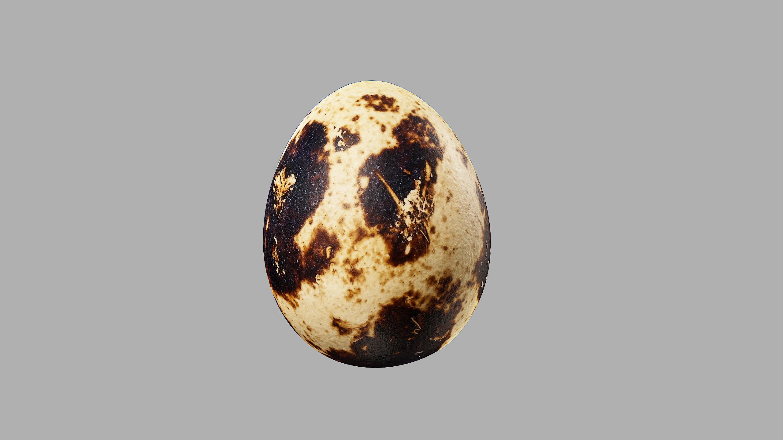 Three Quail Eggs - Photorealistic Scan Low-poly 3D model_10