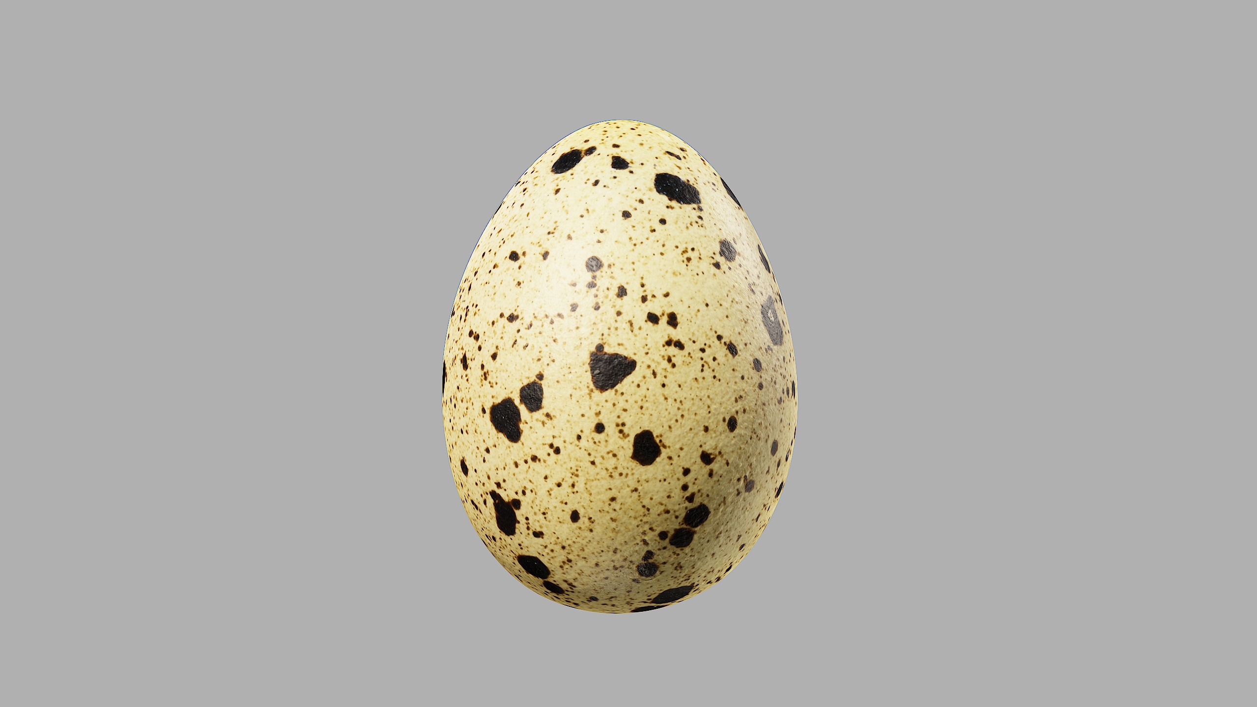Three Quail Eggs - Photorealistic Scan Low-poly 3D model_4