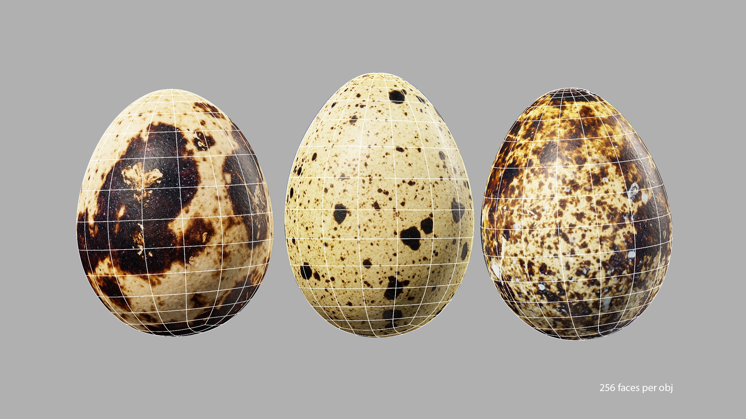 Three Quail Eggs - Photorealistic Scan Low-poly 3D model_15