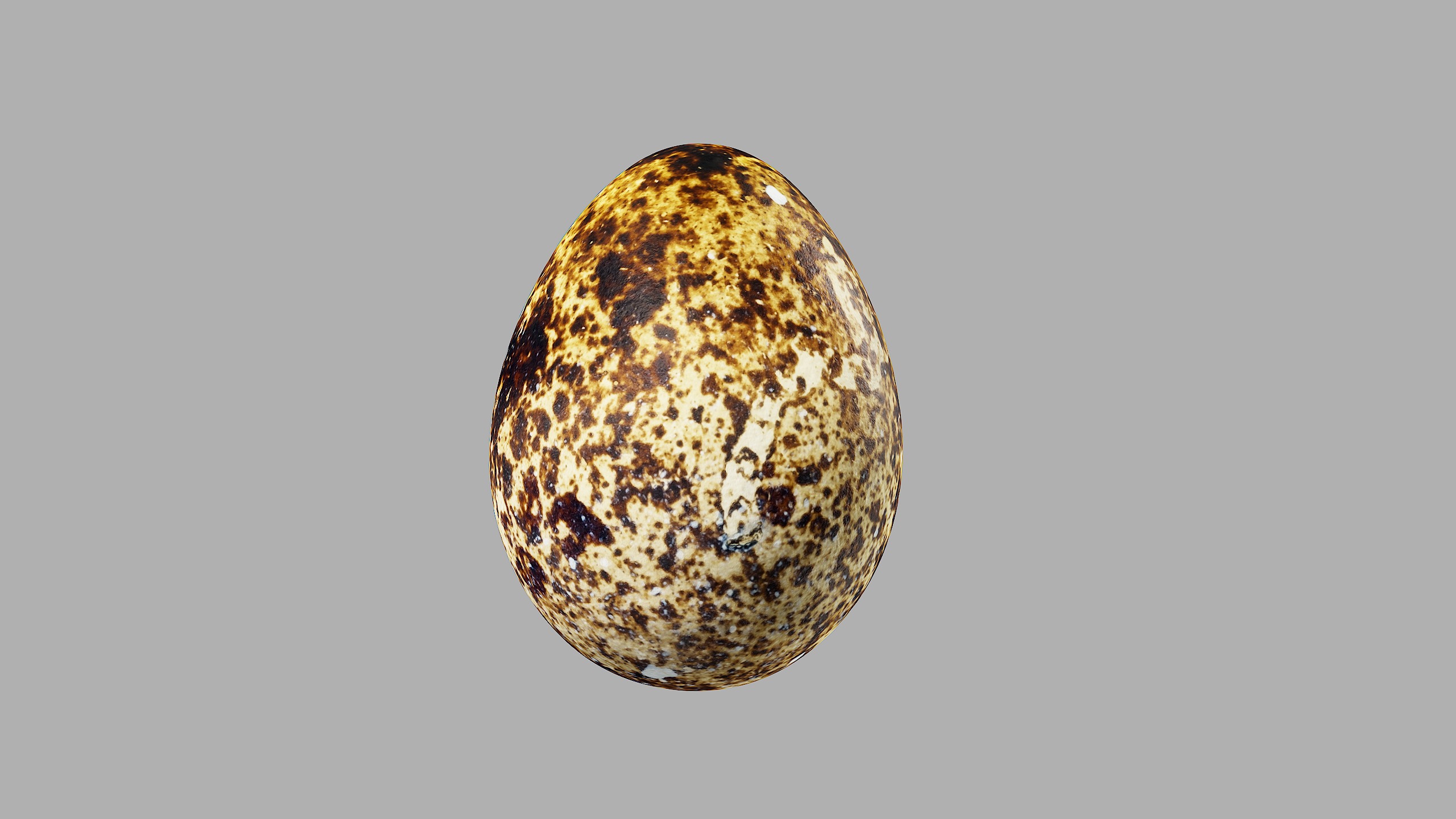Three Quail Eggs - Photorealistic Scan Low-poly 3D model_13