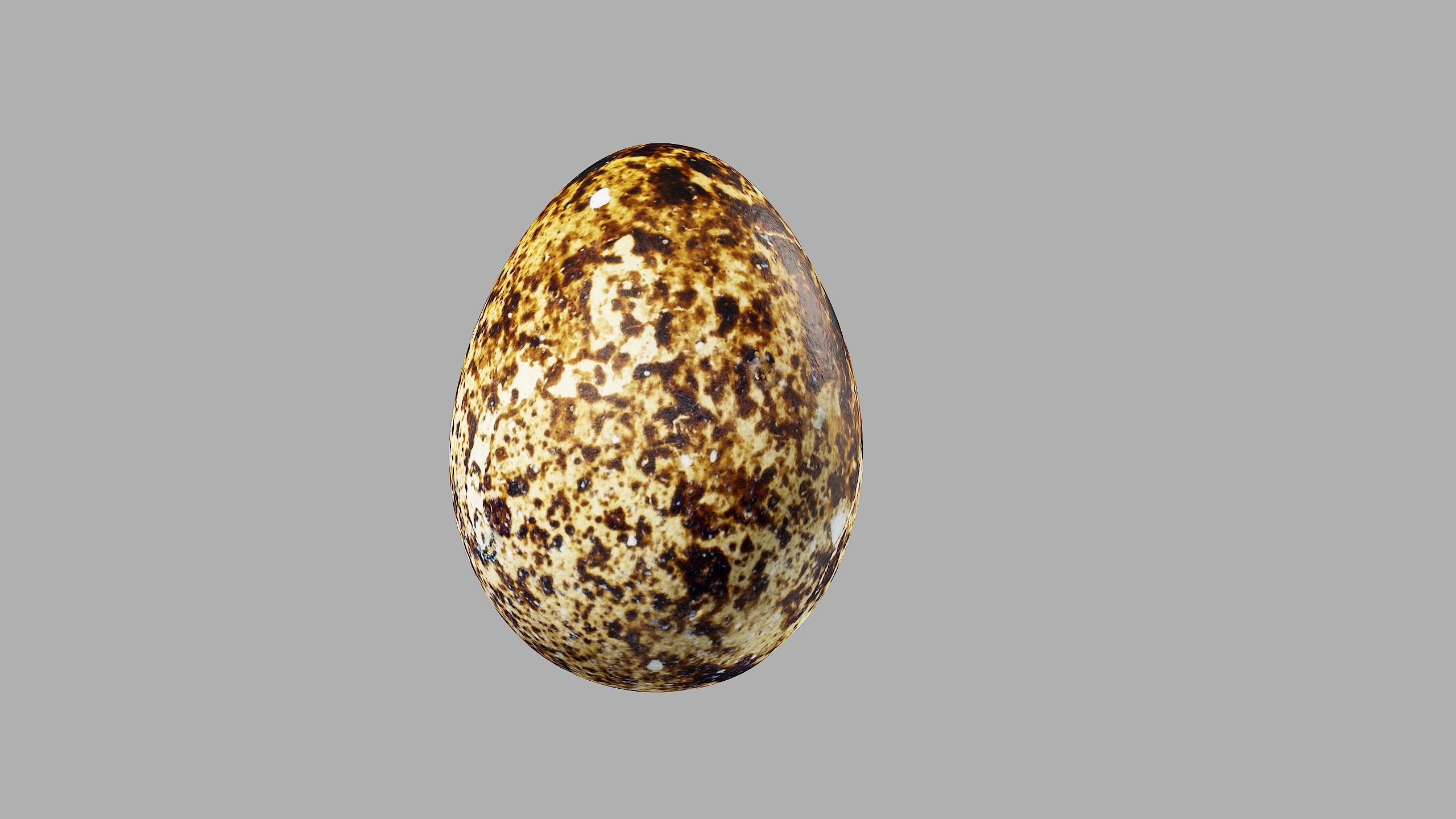 Three Quail Eggs - Photorealistic Scan Low-poly 3D model_14
