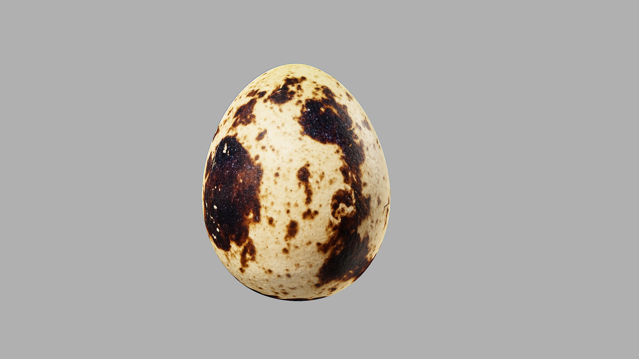 Three Quail Eggs - Photorealistic Scan Low-poly 3D model_9
