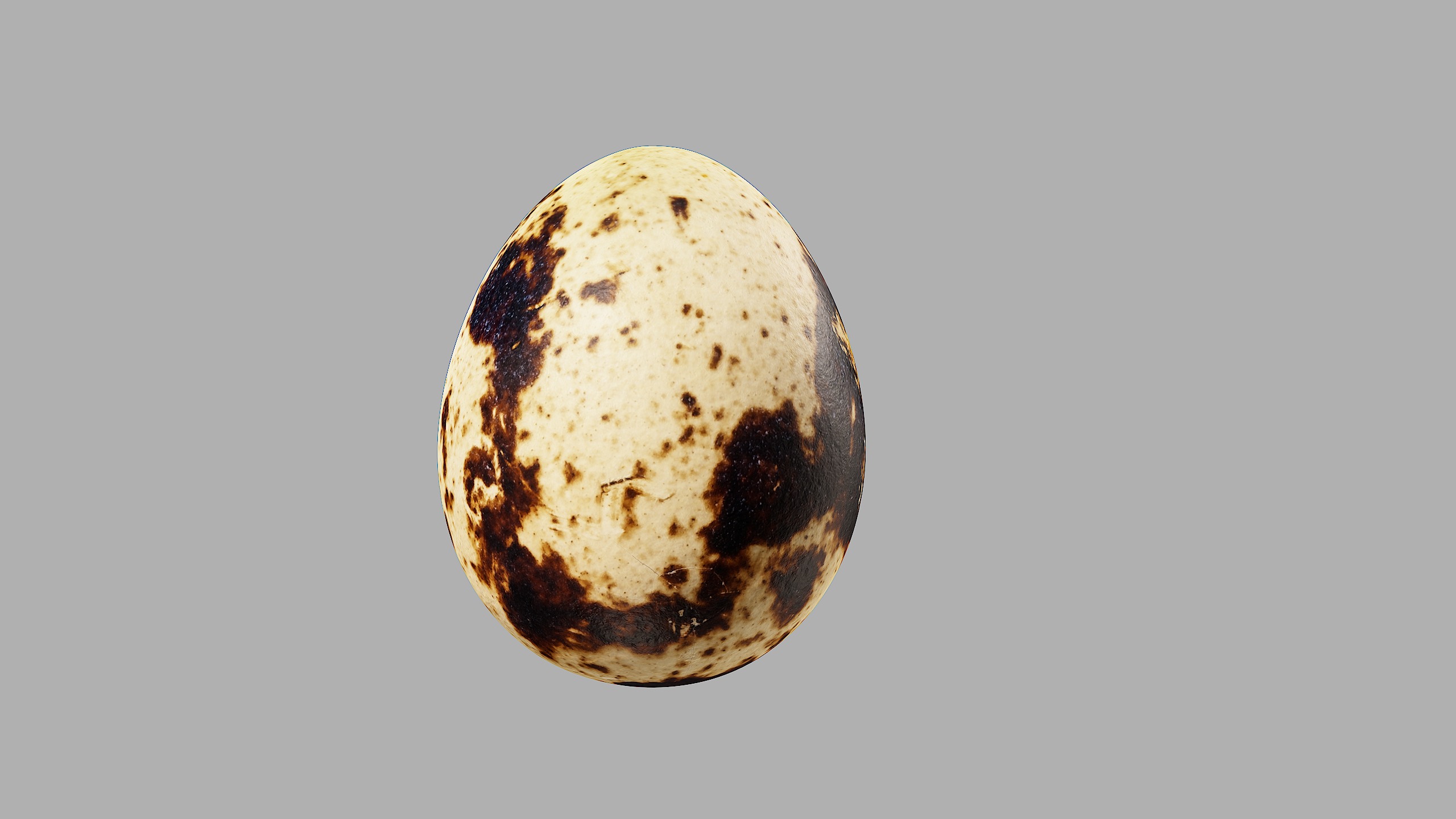 Three Quail Eggs - Photorealistic Scan Low-poly 3D model_8
