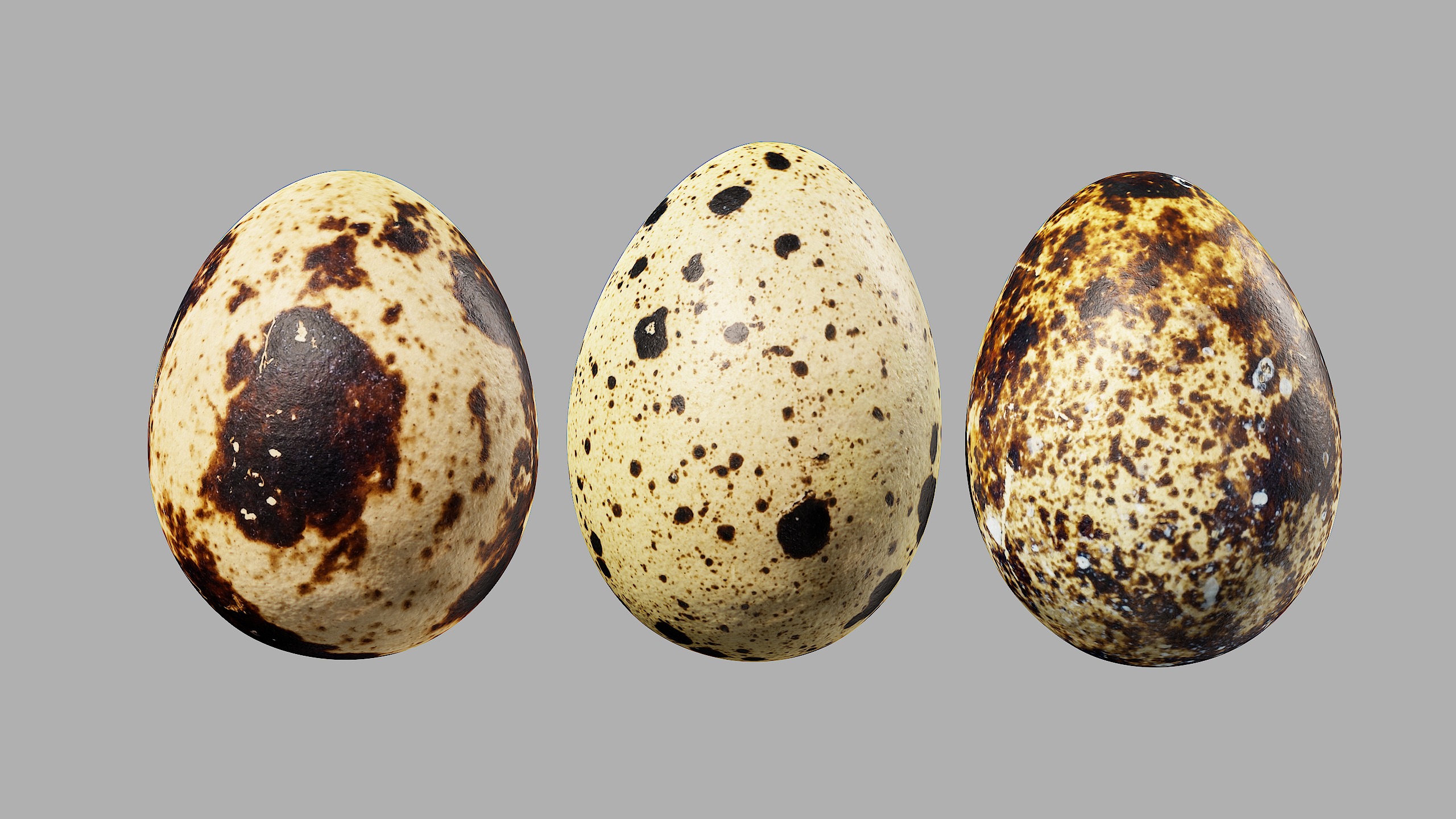 Three Quail Eggs - Photorealistic Scan Low-poly 3D model_2