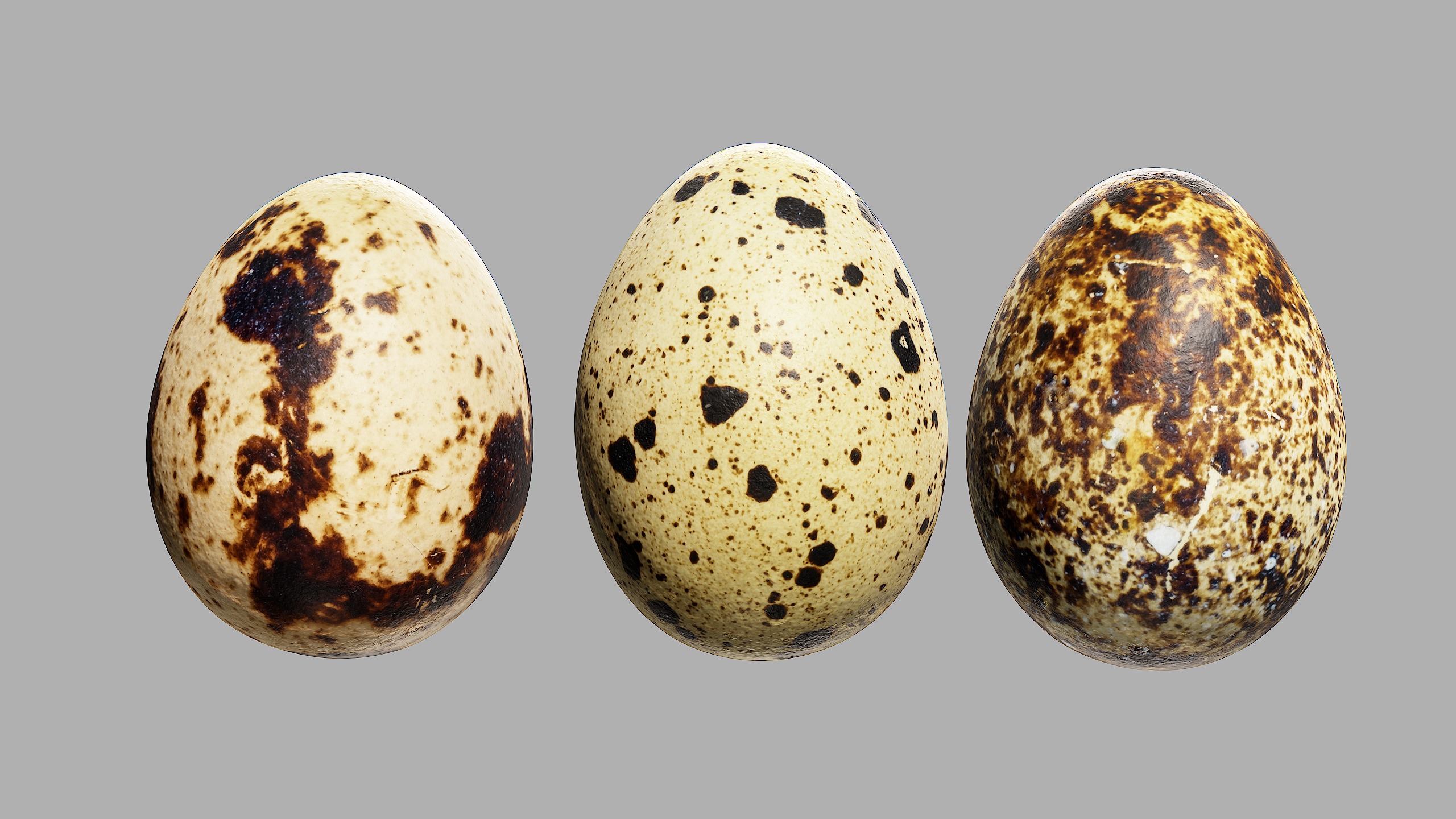 Three Quail Eggs - Photorealistic Scan Low-poly 3D model_1