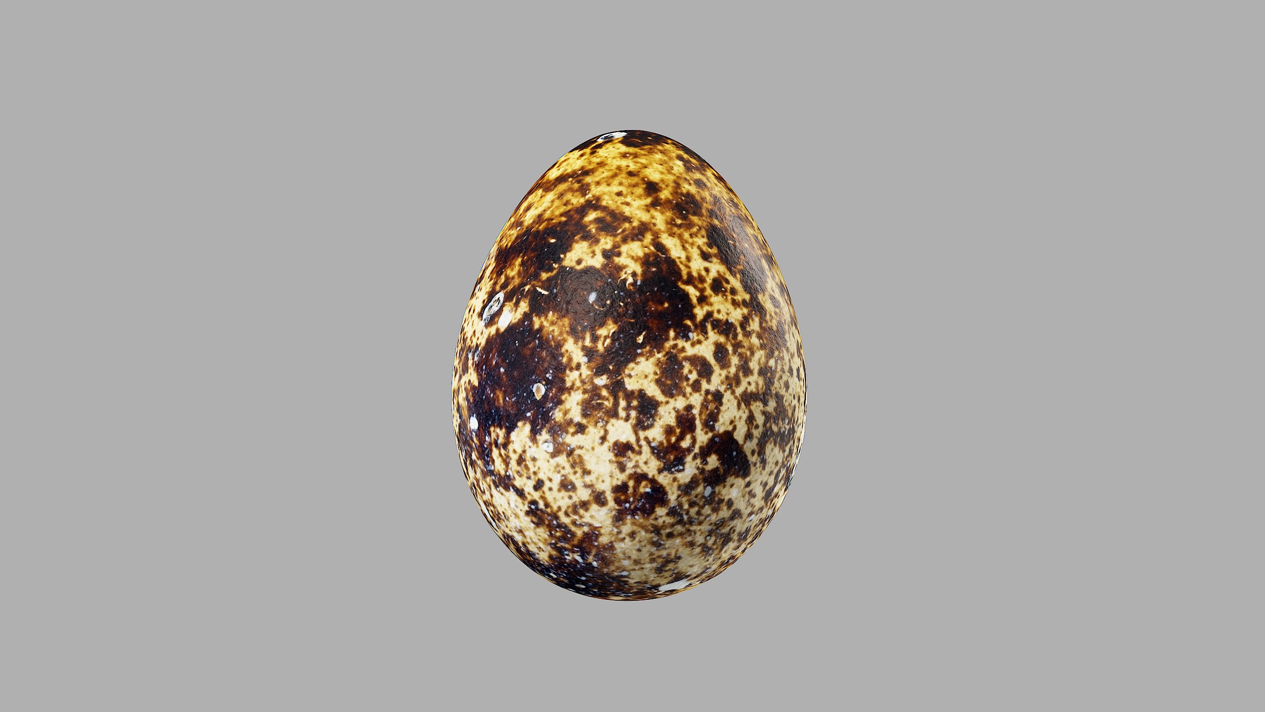 Three Quail Eggs - Photorealistic Scan Low-poly 3D model_12