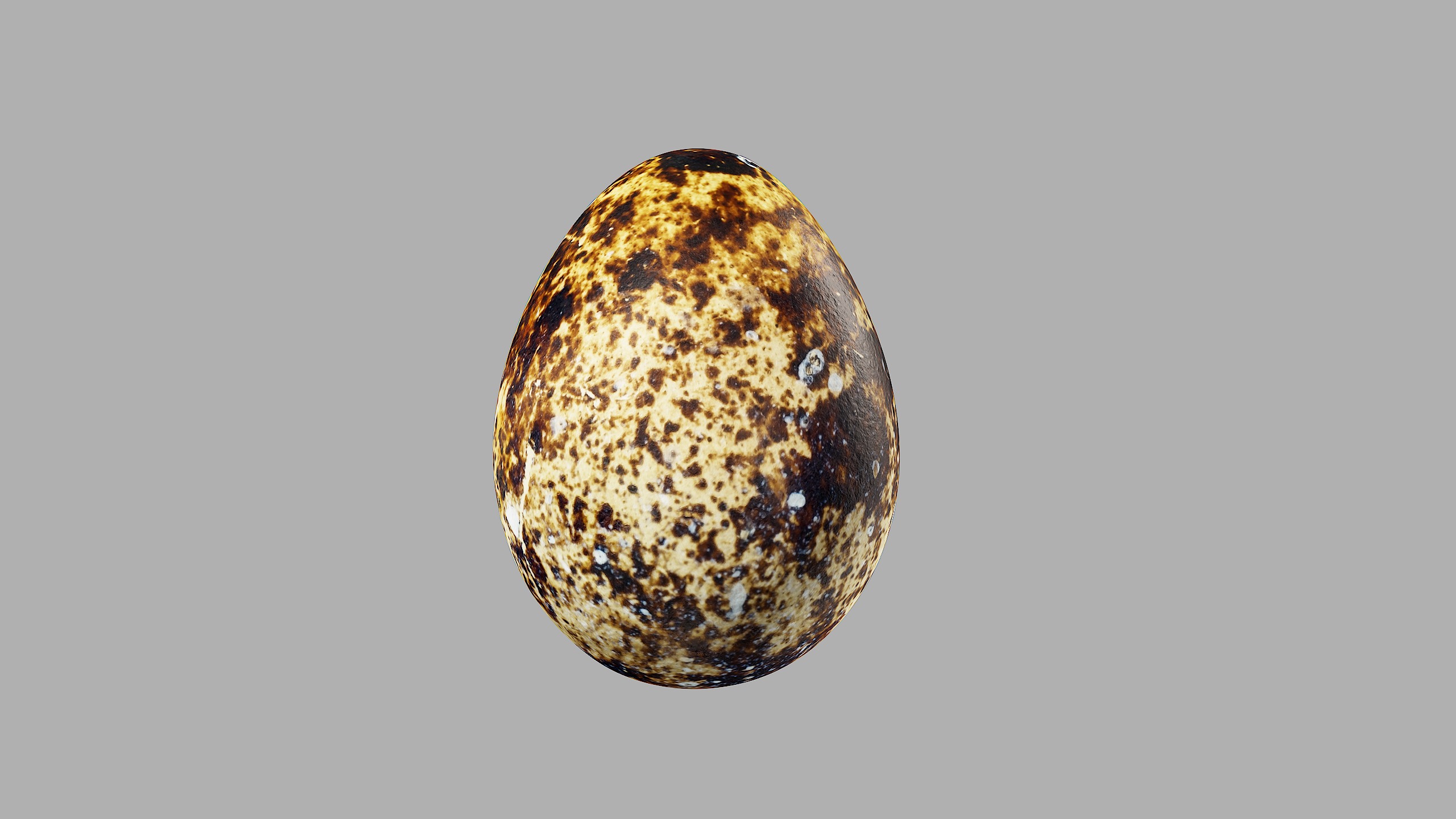 Three Quail Eggs - Photorealistic Scan Low-poly 3D model_11