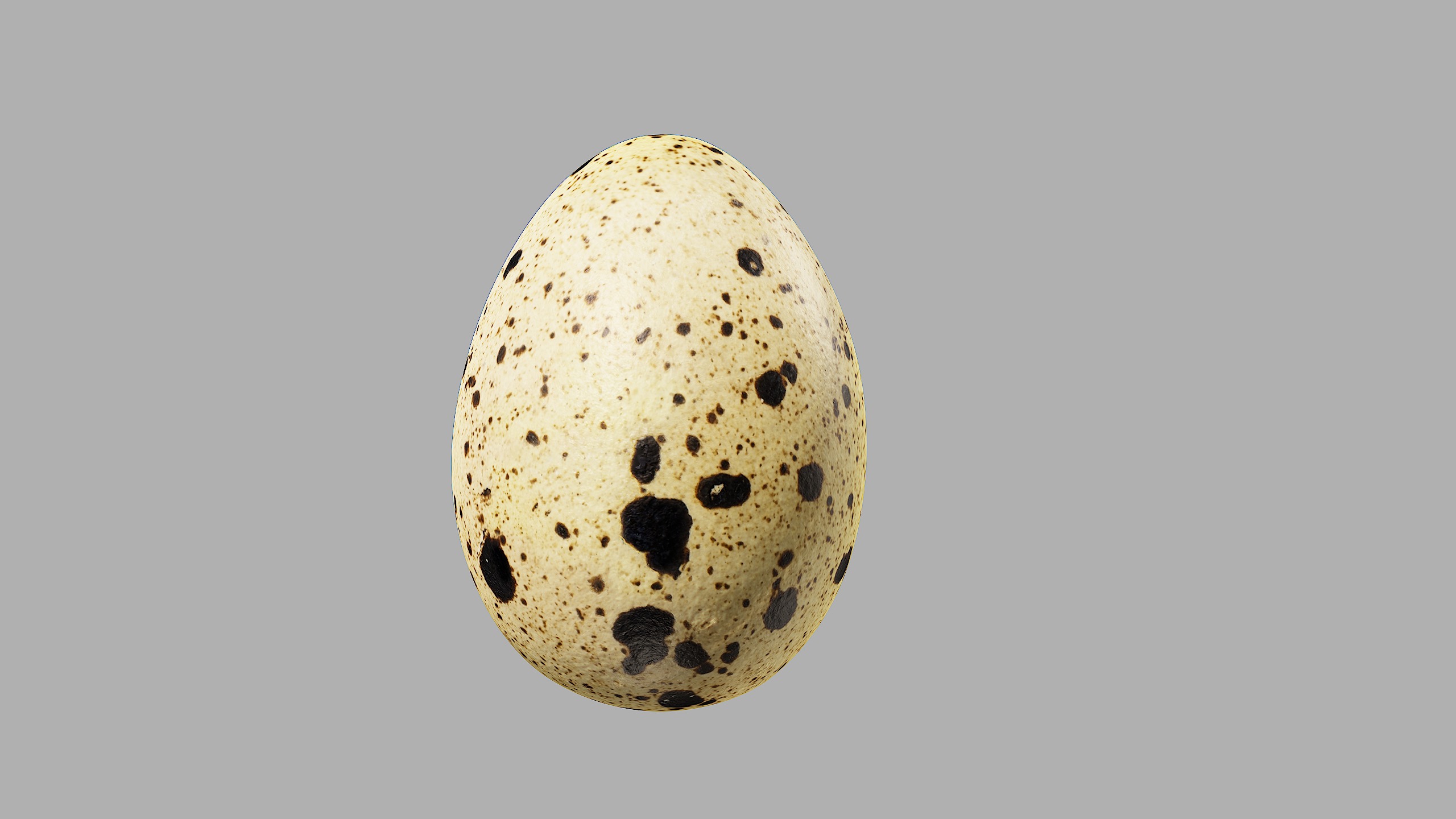 Three Quail Eggs - Photorealistic Scan Low-poly 3D model_5