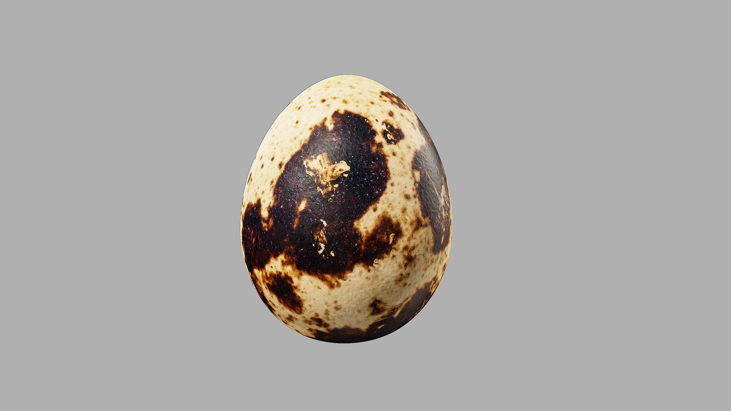 Three Quail Eggs - Photorealistic Scan Low-poly 3D model_7