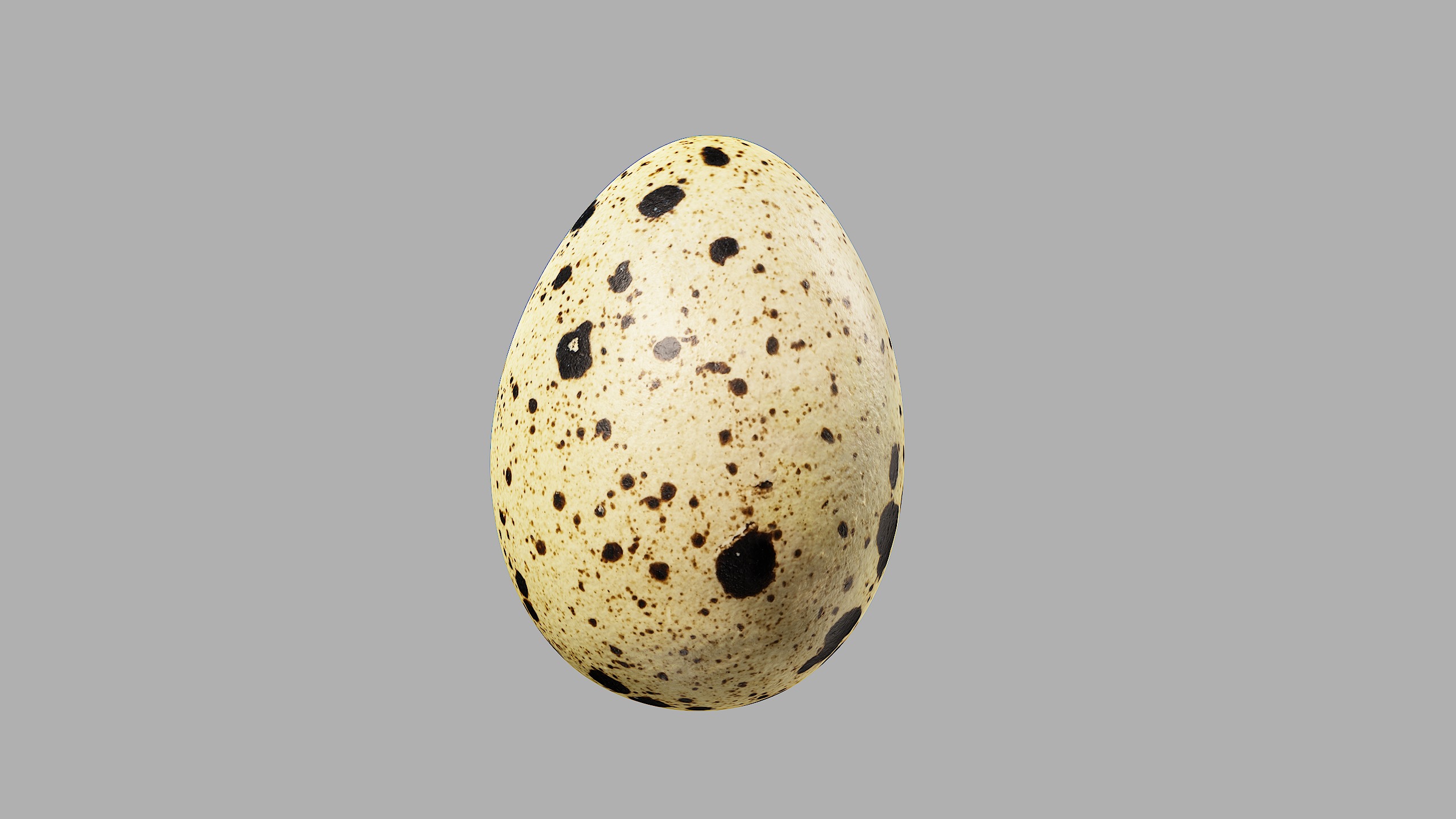 Three Quail Eggs - Photorealistic Scan Low-poly 3D model_6