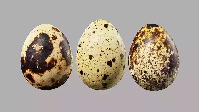 Three Quail Eggs - Photorealistic Scan
