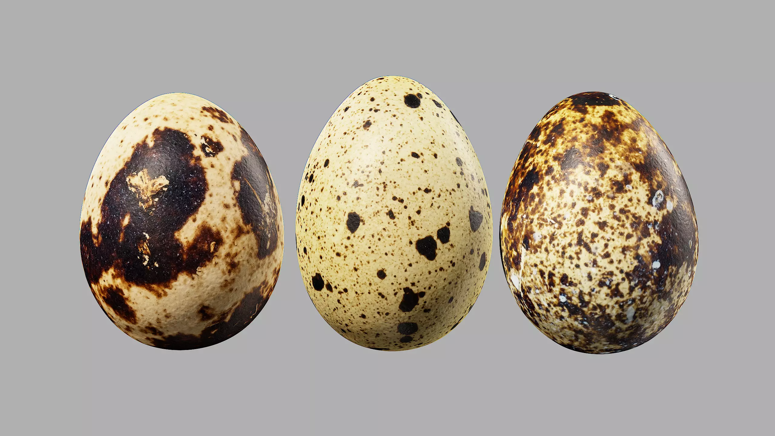 Three Quail Eggs - Photorealistic Scan Low-poly 3D model_0