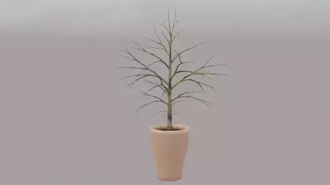 Potted Plant 2