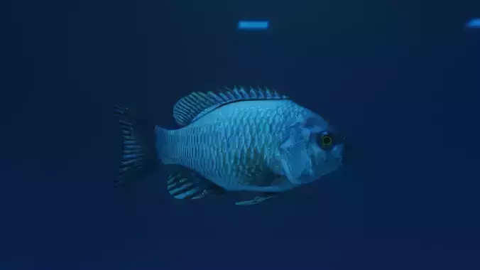 Default fish