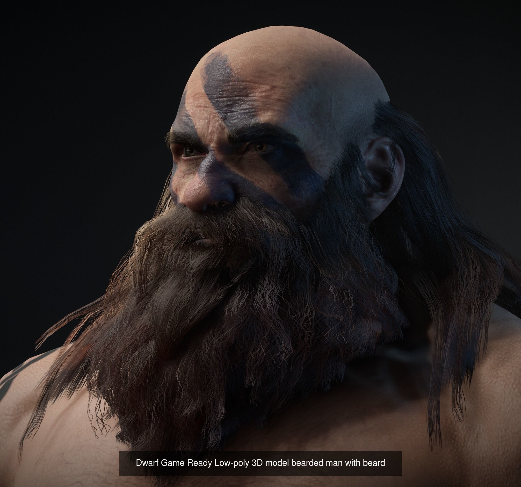 MEGA Fantasy Pack Collection _39