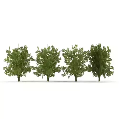 Oak Low Poly V1 3D model