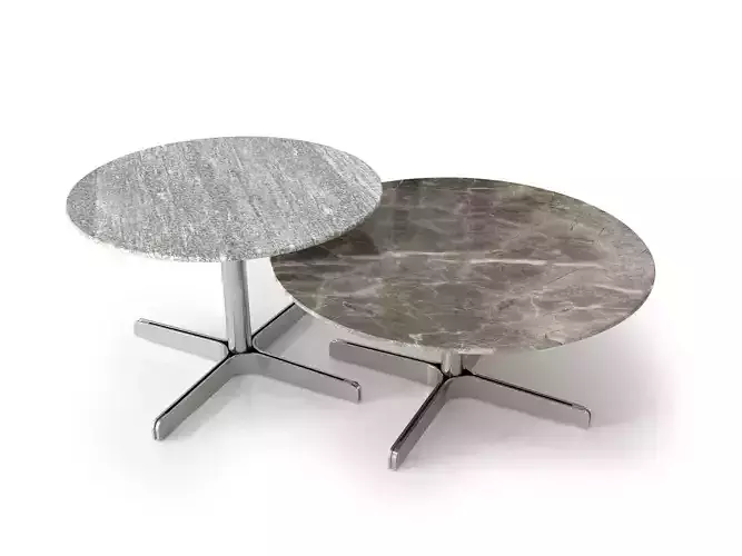 DS 343 61 and DS 343 62 Coffee Tables