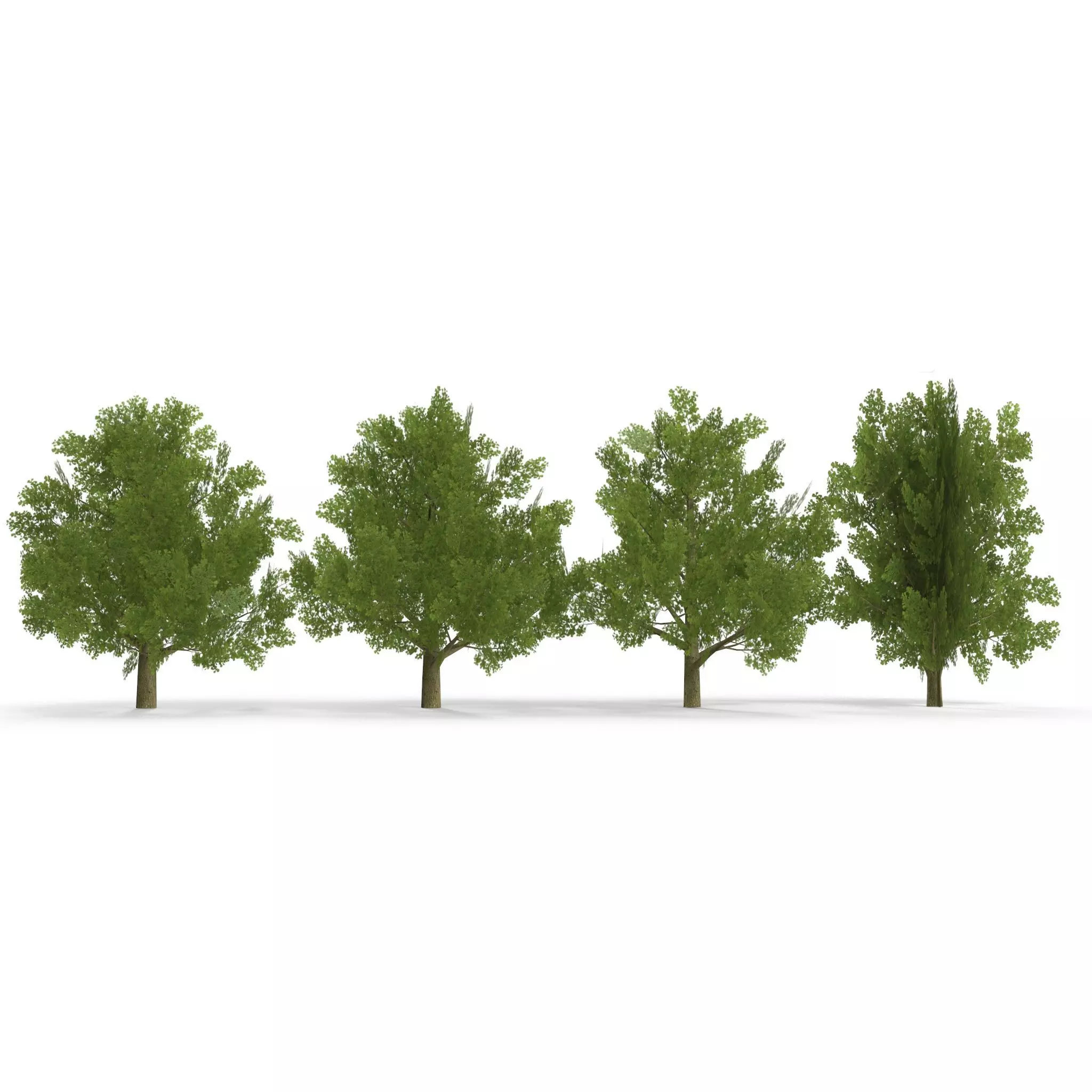 Oak Low Poly V2 Low-poly 3D model_0