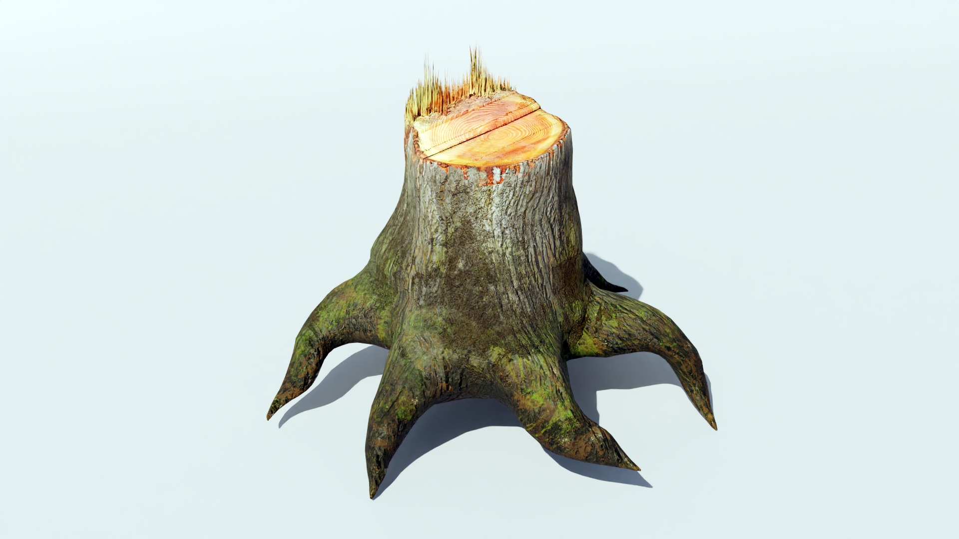 Tree Trunk Collection Low-poly 3D model_18