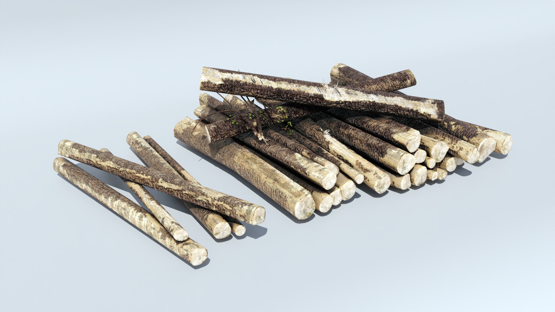 Tree Trunk Collection Low-poly 3D model_34