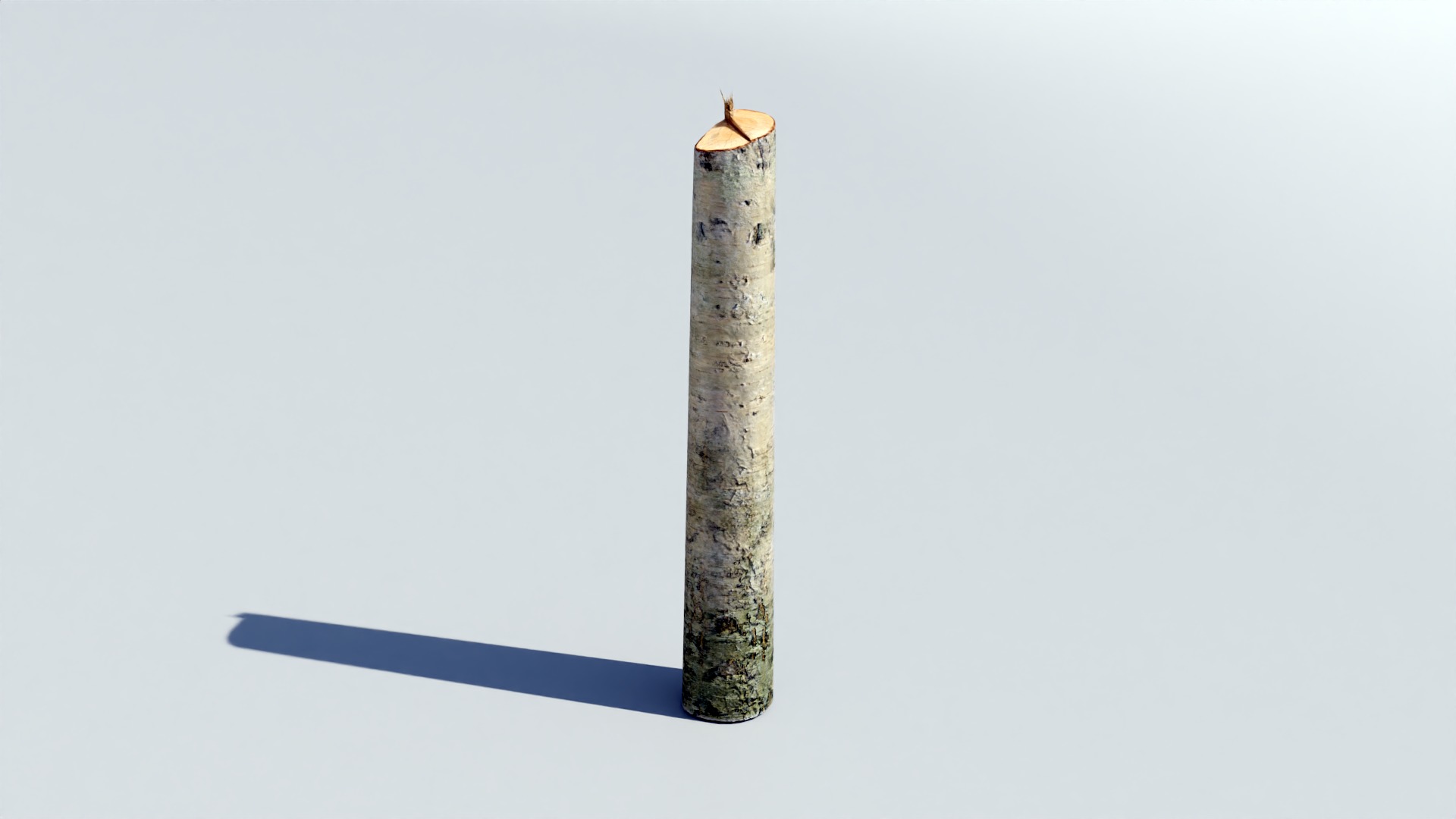 Tree Trunk Collection Low-poly 3D model_22