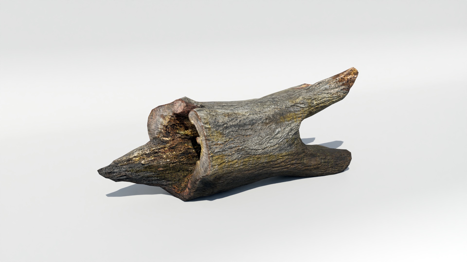 Tree Trunk Collection Low-poly 3D model_32