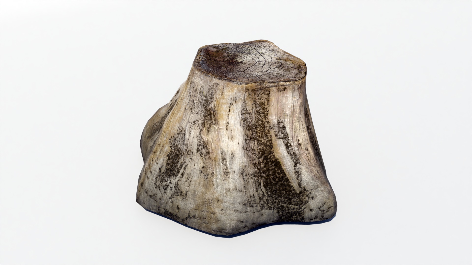 Tree Trunk Collection Low-poly 3D model_10