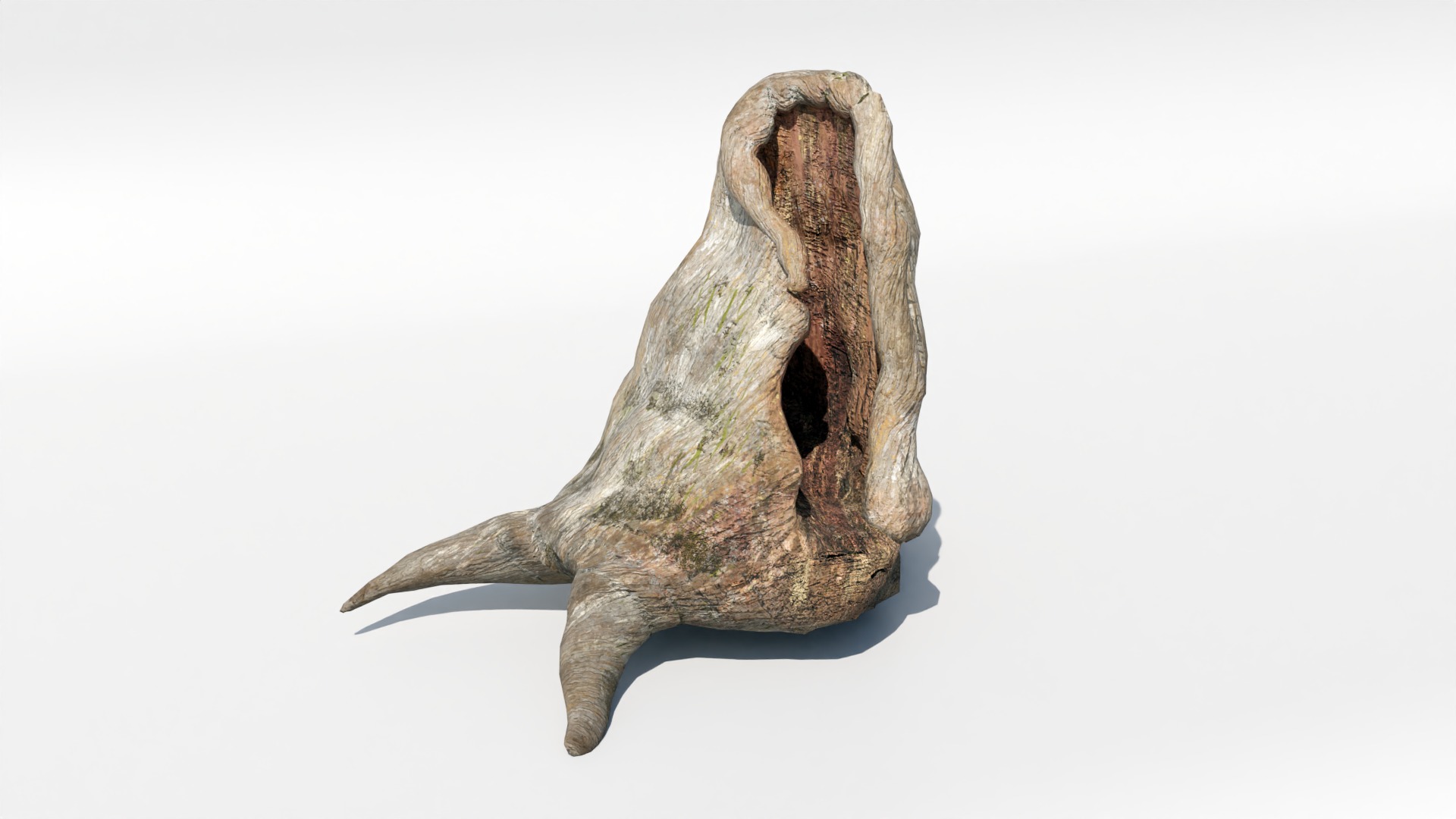 Tree Trunk Collection Low-poly 3D model_6