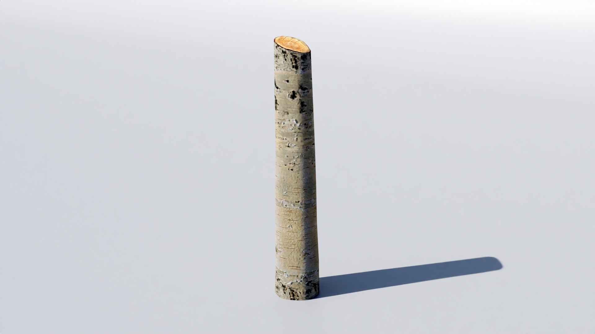 Tree Trunk Collection Low-poly 3D model_24