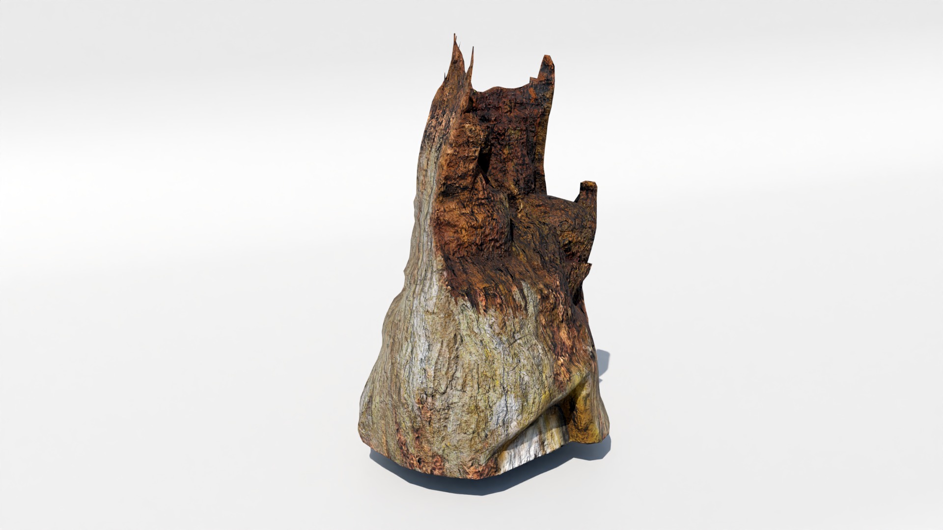 Tree Trunk Collection Low-poly 3D model_16