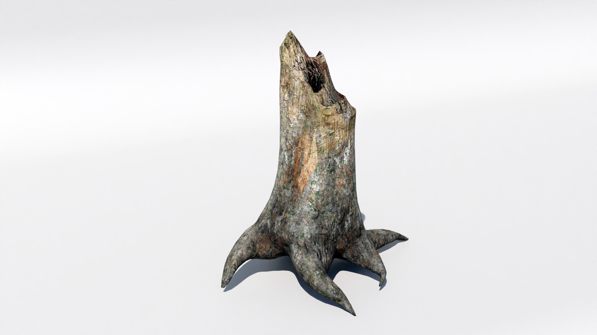 Tree Trunk Collection Low-poly 3D model_2