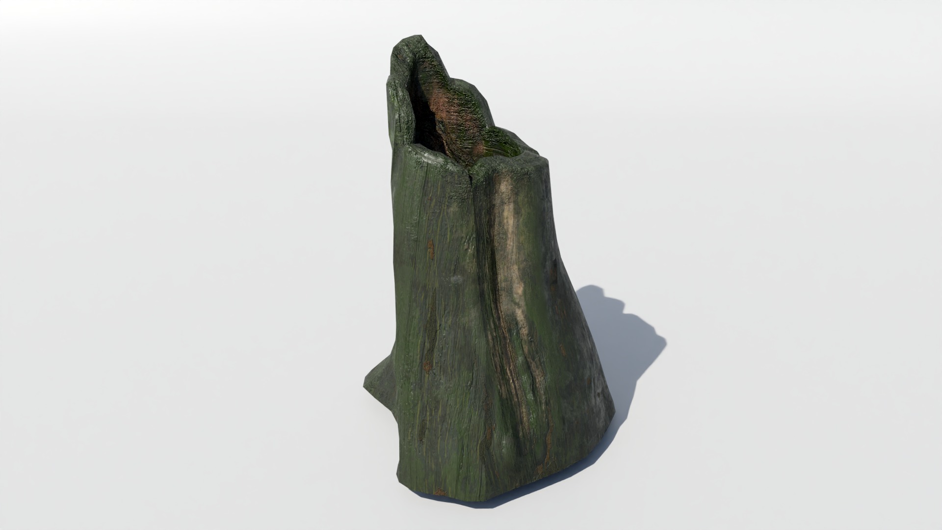 Tree Trunk Collection Low-poly 3D model_12
