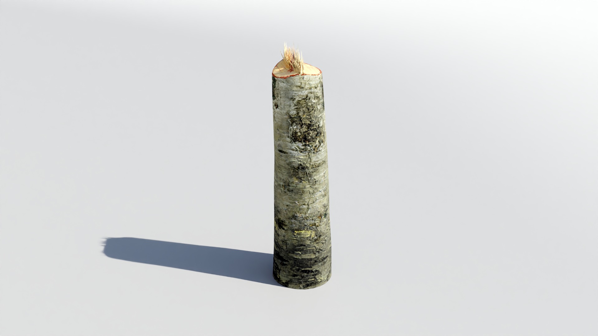 Tree Trunk Collection Low-poly 3D model_20