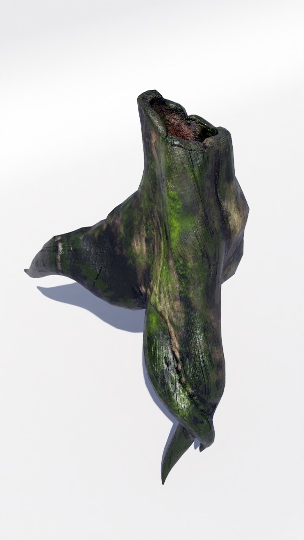 Tree Trunk Collection Low-poly 3D model_14