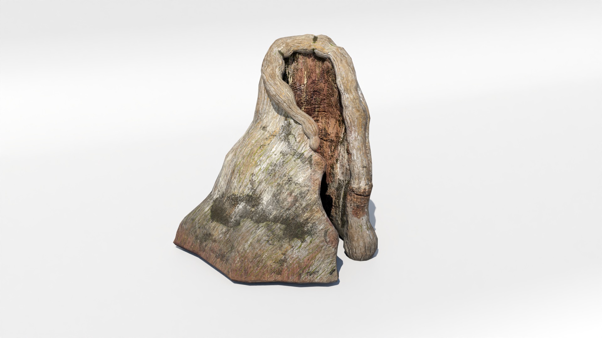 Tree Trunk Collection Low-poly 3D model_4