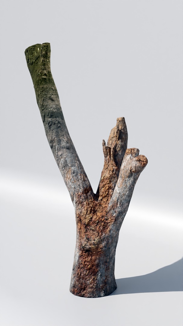 Tree Trunk Collection Low-poly 3D model_28