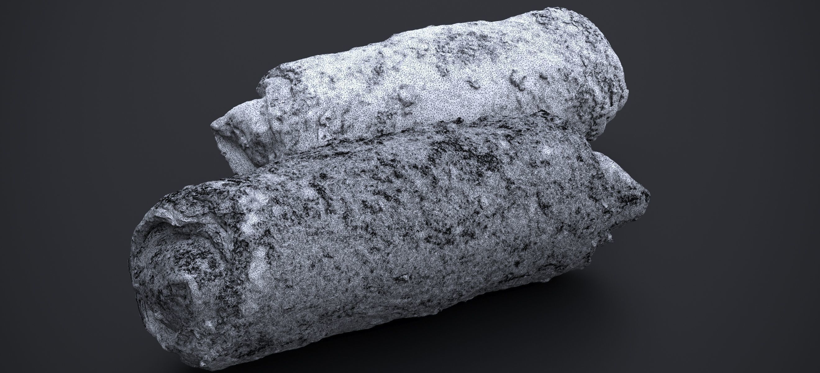 CHICKEN EGG ROLLS 2024 3D model_16