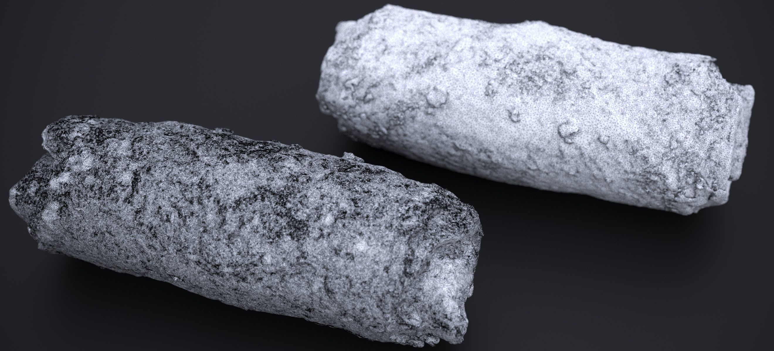 CHICKEN EGG ROLLS 2024 3D model_10