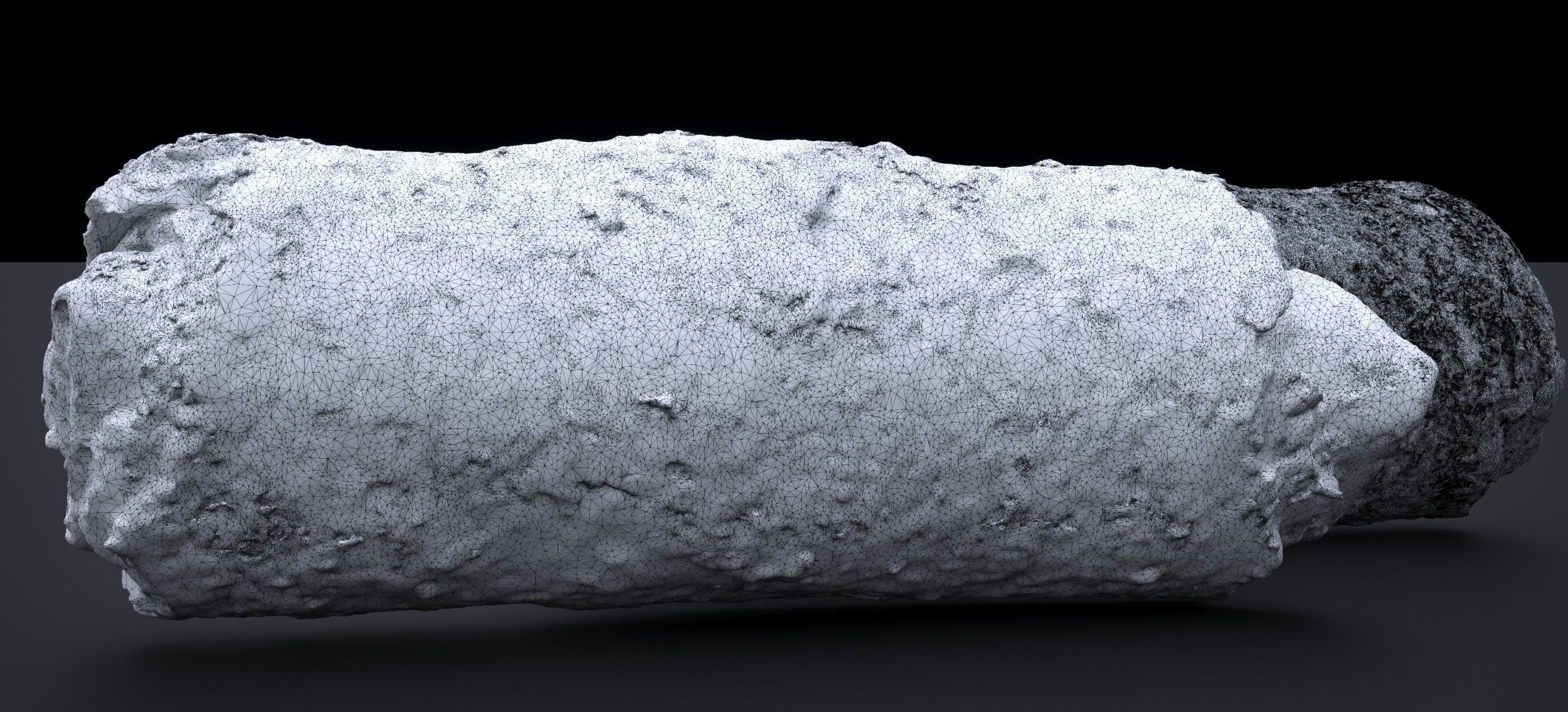 CHICKEN EGG ROLLS 2024 3D model_18