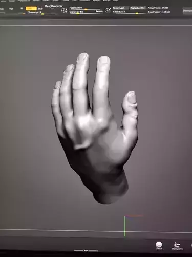 High-Quality Hand Male Model - Versatile for Character Design 