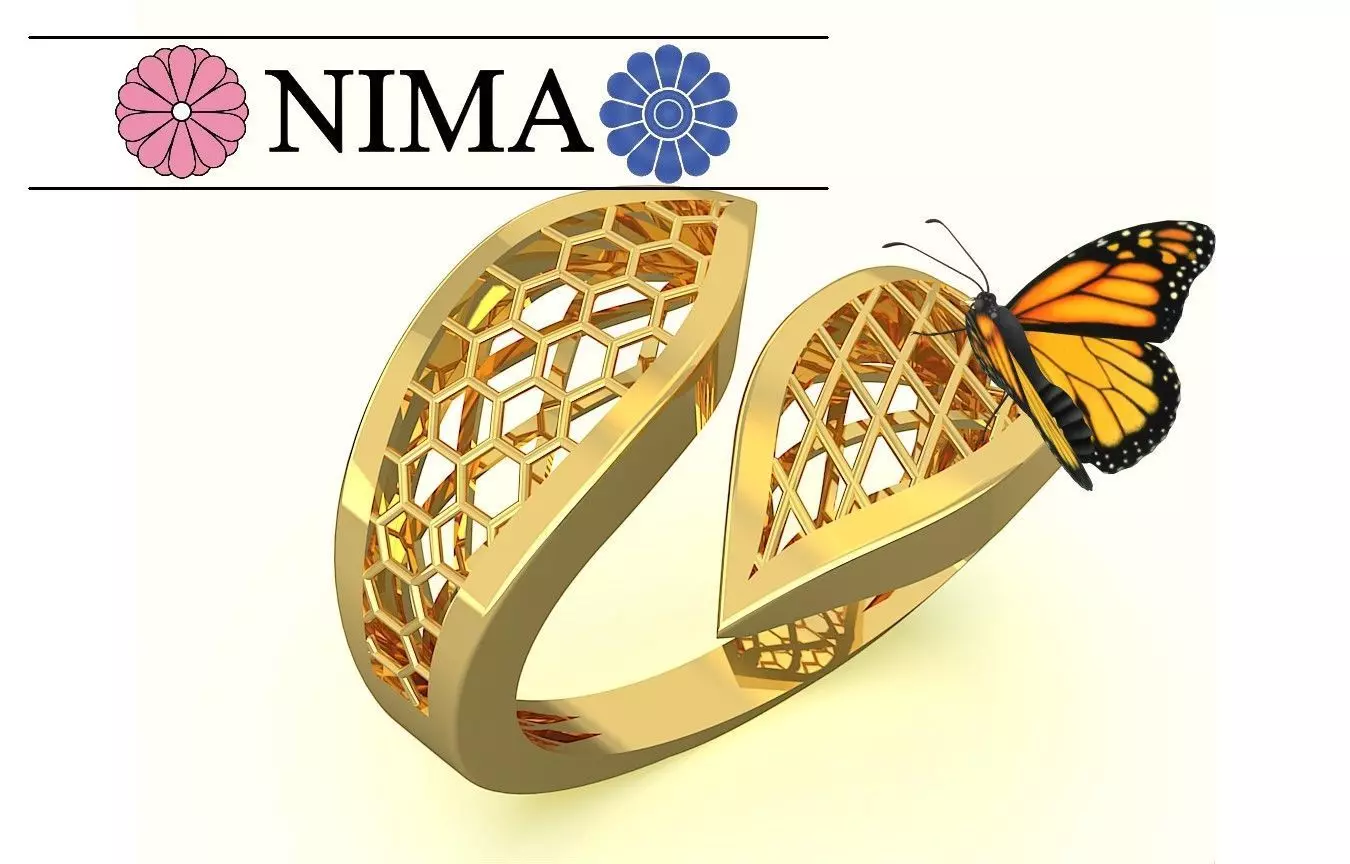 Modern design ring with mesh details Free 3D print model