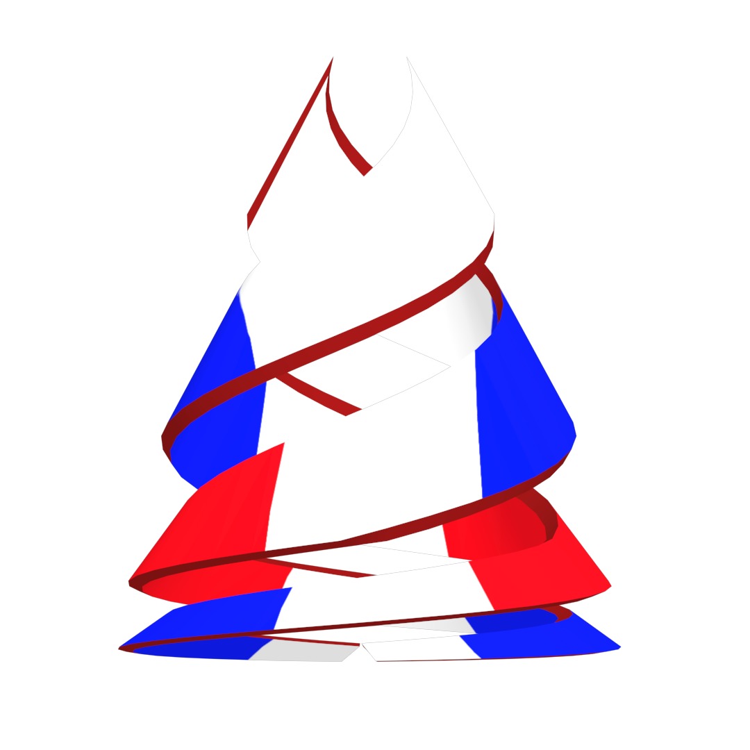 France Flag on double Helical Structure 3D model 3D model_61