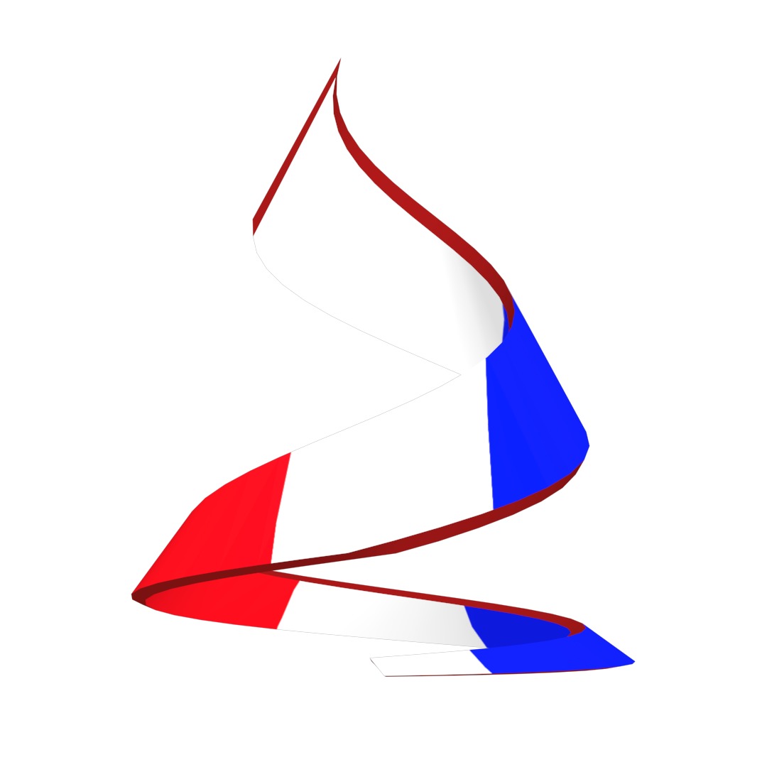 France Flag on double Helical Structure 3D model 3D model_50