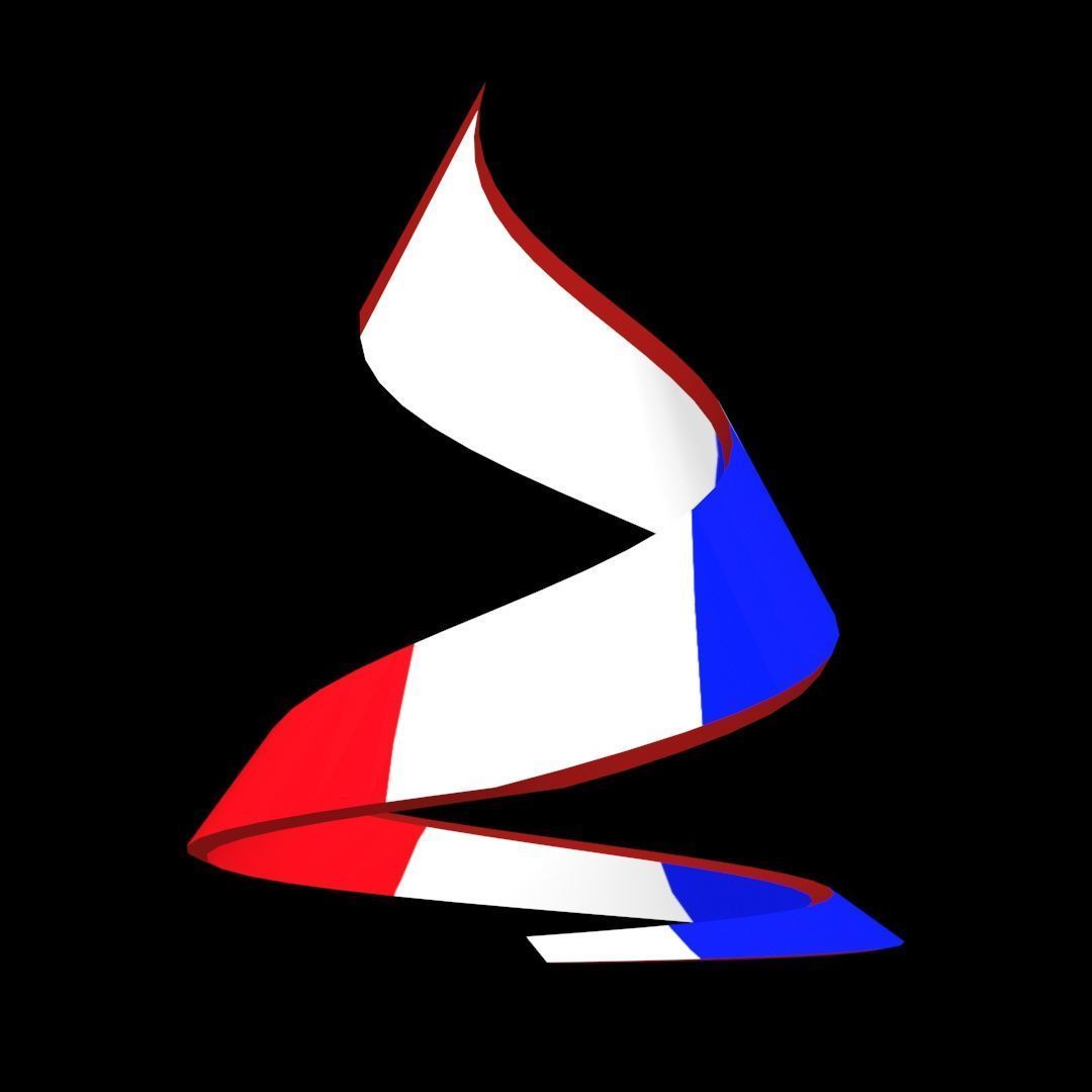 France Flag on double Helical Structure 3D model 3D model_55