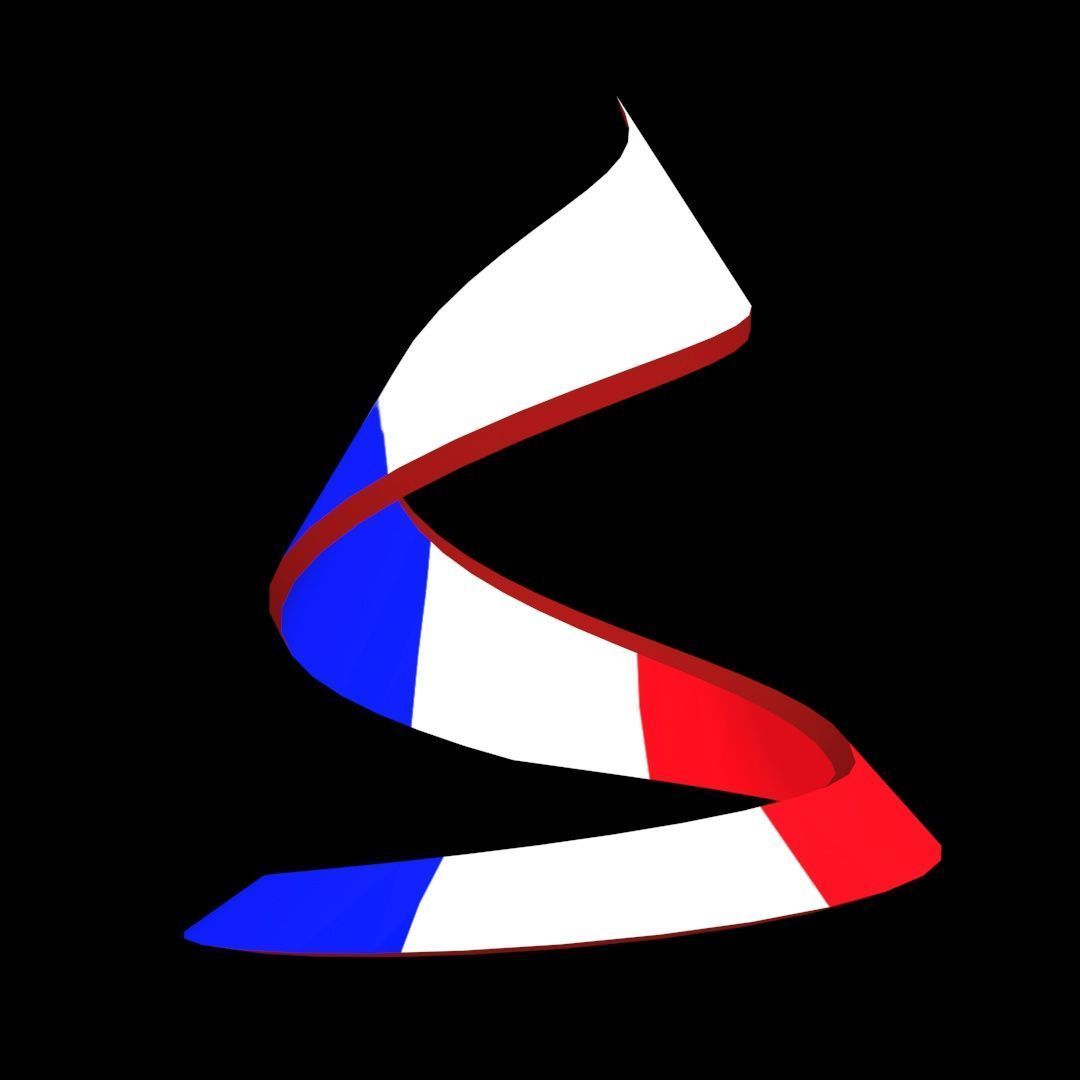 France Flag on double Helical Structure 3D model 3D model_49