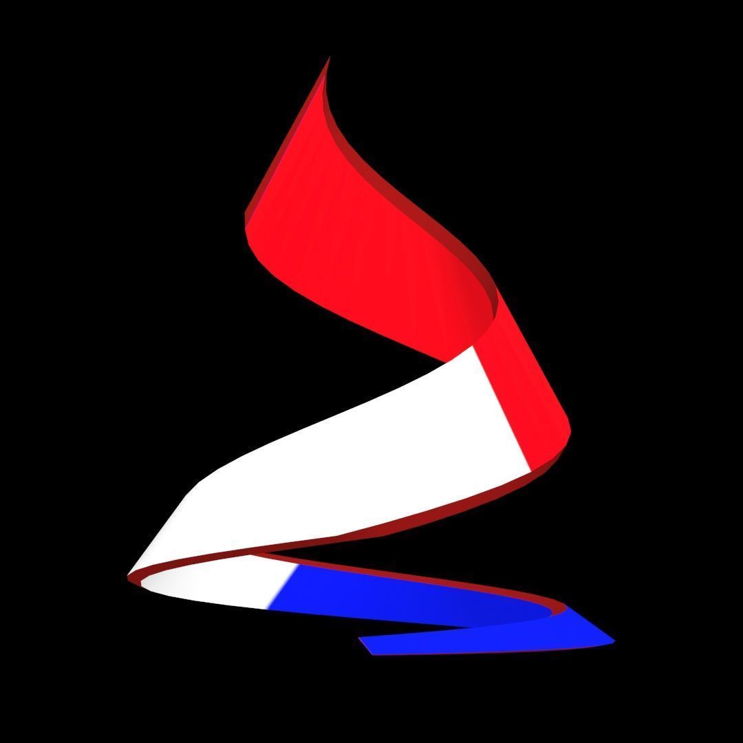 France Flag on double Helical Structure 3D model 3D model_33