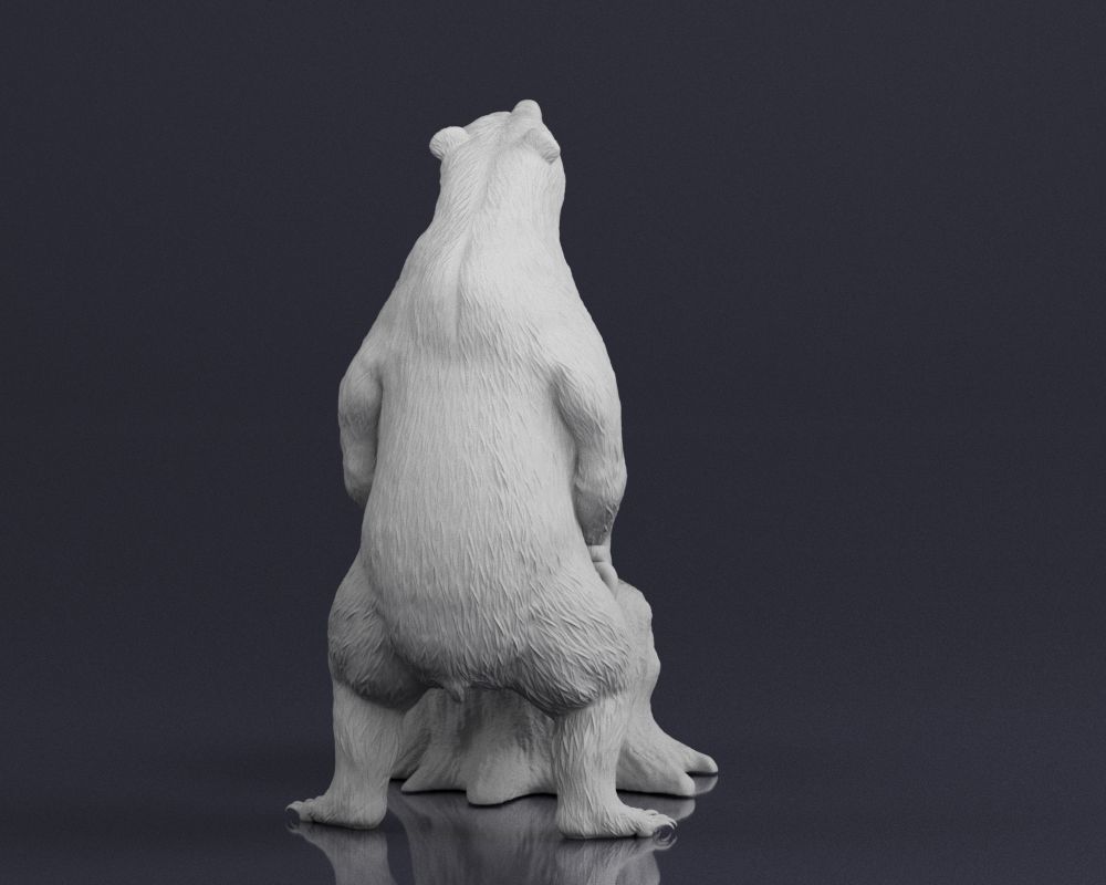 001548 Bear standing 3D print model_11