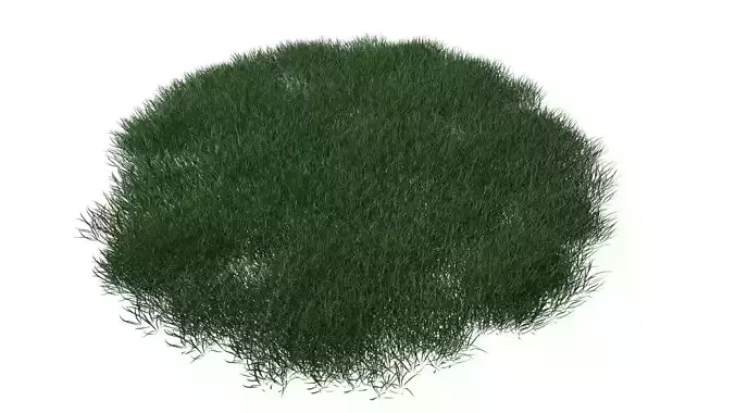 Realistic Lawn Grass Patch 3D model
