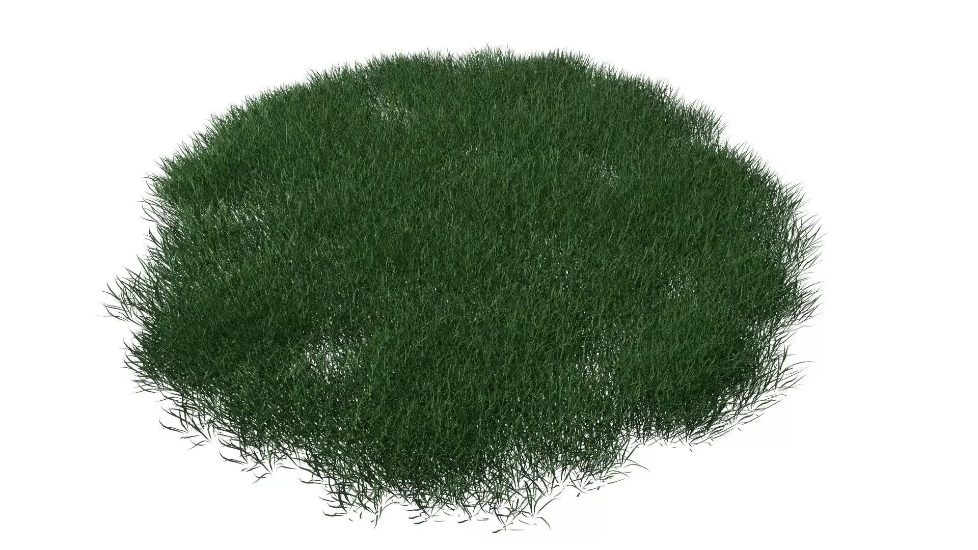 Realistic Lawn Grass Patch 3D model